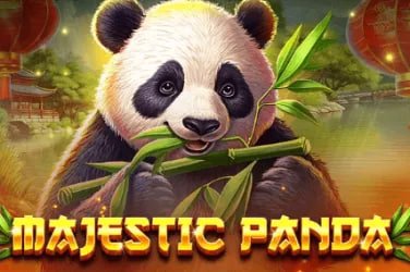 477 duit